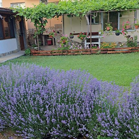 Guest House Sunrise Shabla Exterior photo