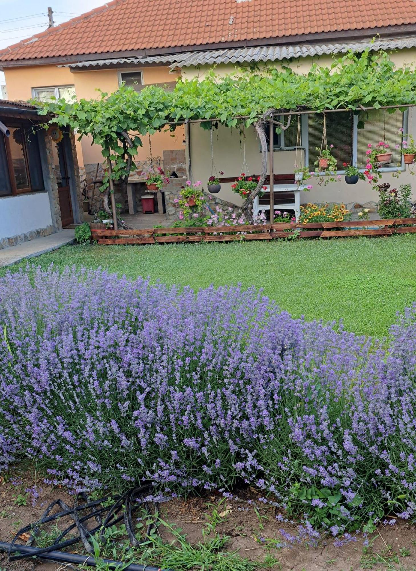 Guest House Sunrise Shabla Exterior photo